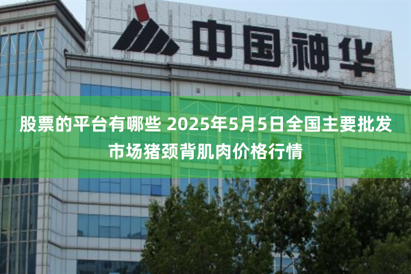 股票的平台有哪些 2025年5月5日全国主要批发市场猪颈背肌肉价格行情