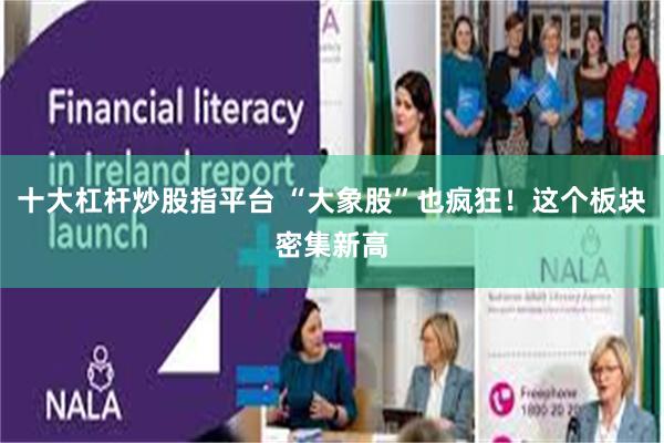 十大杠杆炒股指平台 “大象股”也疯狂！这个板块密集新高