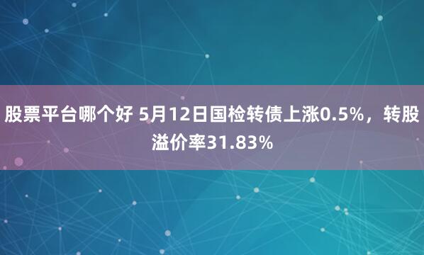 股票平台哪个好 5月12日国检转债上涨0.5%，转股溢价率31.83%
