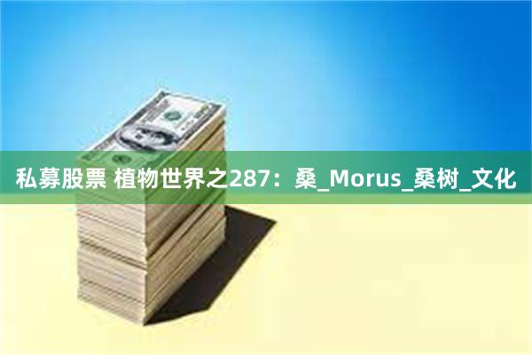 私募股票 植物世界之287：桑_Morus_桑树_文化