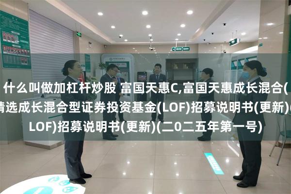 什么叫做加杠杆炒股 富国天惠C,富国天惠成长混合(LOF)D: 富国天惠精选成长混合型证券投资基金(LOF)招募说明书(更新)(二0二五年第一号)
