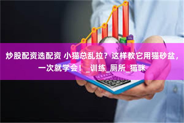 炒股配资选配资 小猫总乱拉？这样教它用猫砂盆，一次就学会！_训练_厕所_猫咪