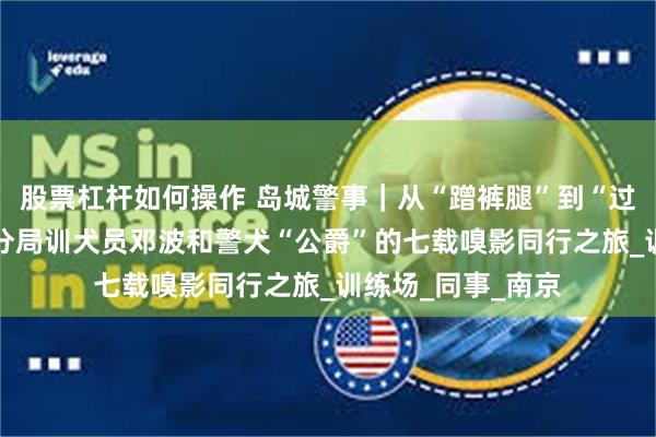 股票杠杆如何操作 岛城警事｜从“蹭裤腿”到“过命交” 市北公安分局训犬员邓波和警犬“公爵”的七载嗅影同行之旅_训练场_同事_南京