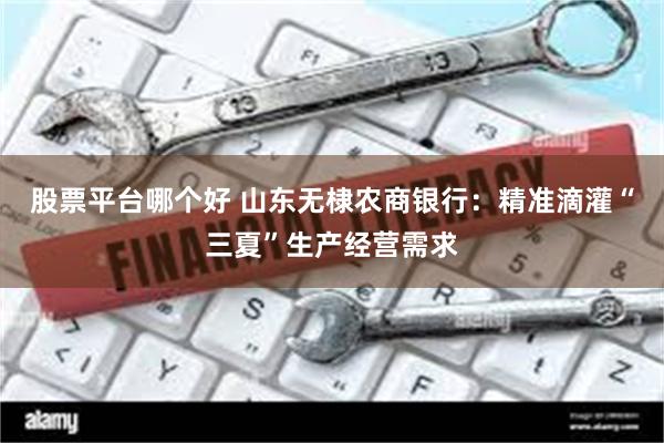股票平台哪个好 山东无棣农商银行：精准滴灌“三夏”生产经营需求