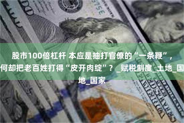 股市100倍杠杆 本应是抽打官僚的“一条鞭”，为何却把老百姓打得“皮开肉绽”？_赋税制度_土地_国家