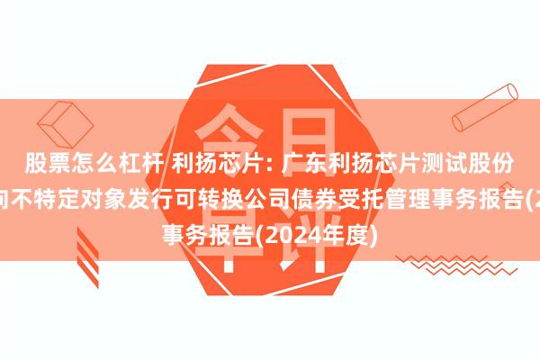 股票怎么杠杆 利扬芯片: 广东利扬芯片测试股份有限公司向不特定对象发行可转换公司债券受托管理事务报告(2024年度)