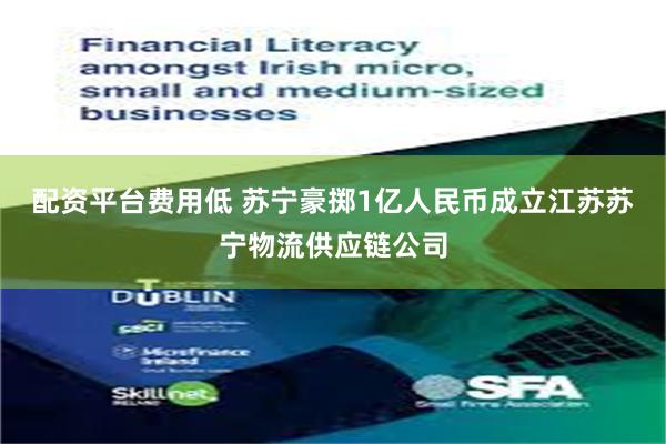 配资平台费用低 苏宁豪掷1亿人民币成立江苏苏宁物流供应链公司