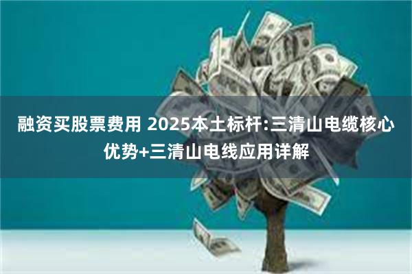 融资买股票费用 2025本土标杆:三清山电缆核心优势+三清山电线应用详解
