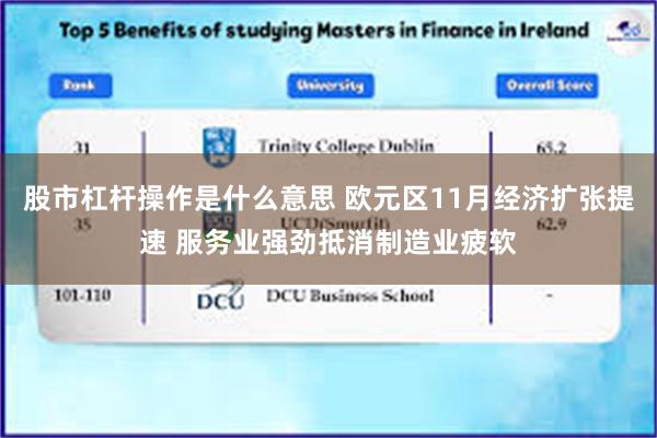 股市杠杆操作是什么意思 欧元区11月经济扩张提速 服务业强劲抵消制造业疲软